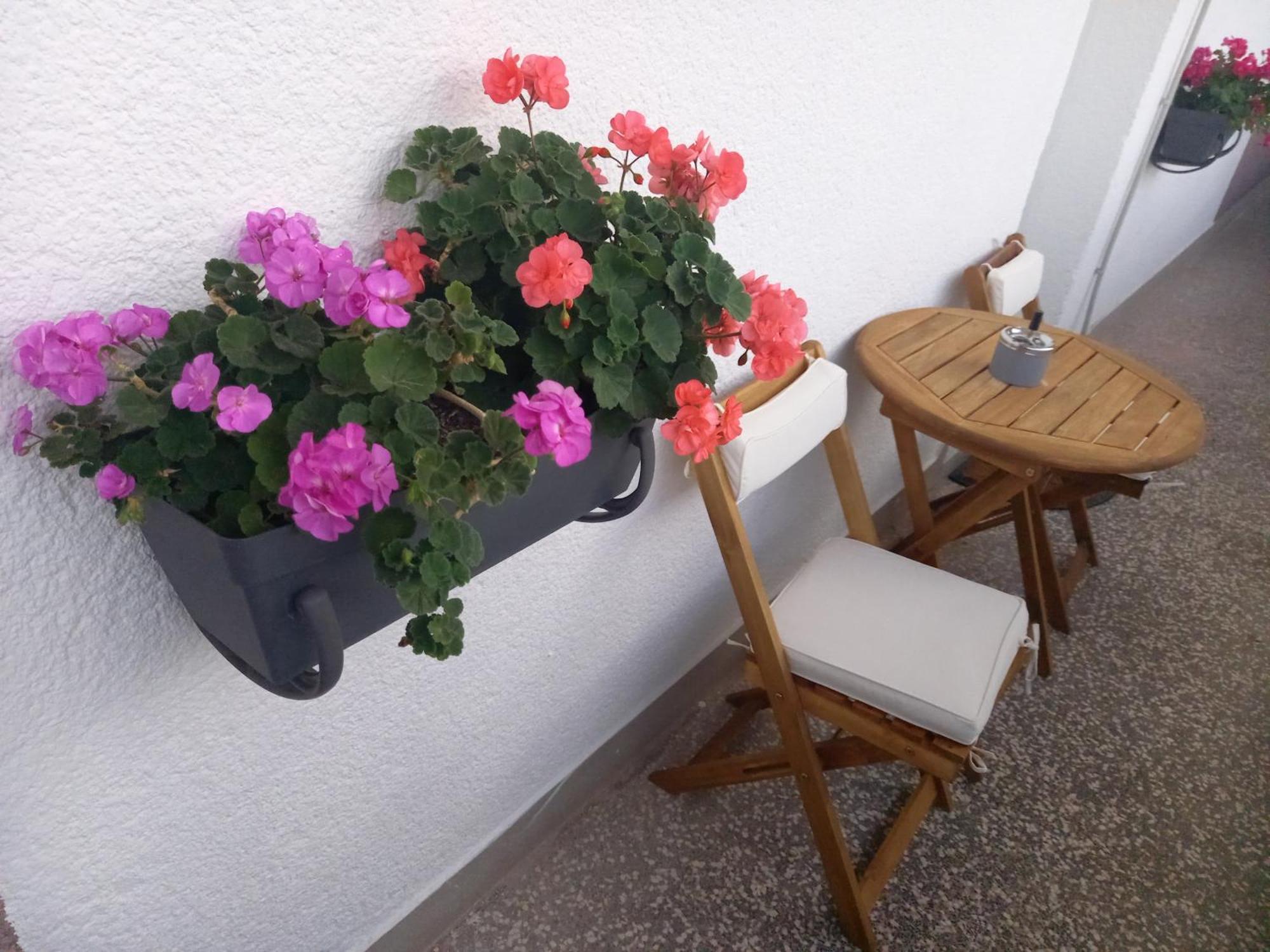 Apartment Danijela Šibenik Екстериор снимка